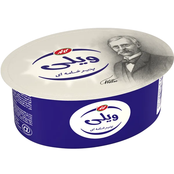 پنیر ویلی 100گرمی