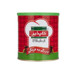 کنسرو رب گوجه فرنگی 800 گرم دلپذیر